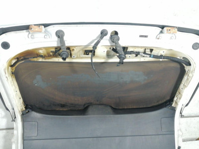 PORTON TRASERO, LEXUS, NX (AZ10)