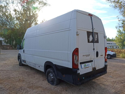 FIAT DUCATO 3 MAXI FURGÓN TS 40 (295)