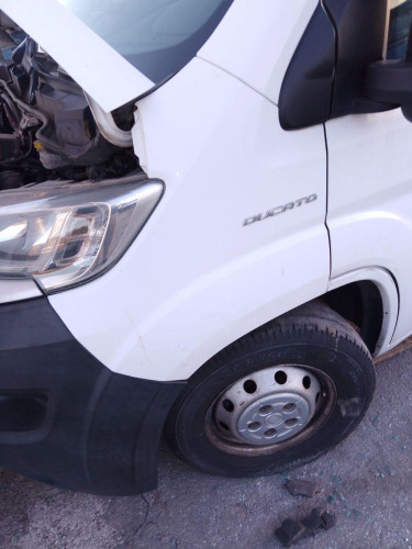 ALETA DELANTERA IZQUIERDA, FIAT, DUCATO 3 MAXI FURGÓN TS 35 (295)