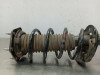  AMORTIGUADOR DELANTERO DERECHO HONDA CR-V (RE) 