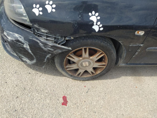  BARRA ESTABILIZADORA DELANTERA Seat IBIZA (6L1) 