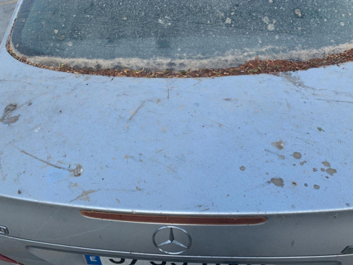 GUARNECIDO PORTON TRASERO MERCEDES-BENZ CLASE E (BM 211) BERLINA 
