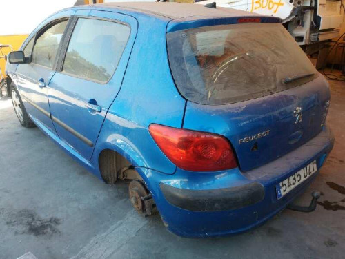  PEUGEOT 307 BERLINA (S2) 