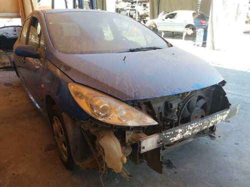  PEUGEOT 307 BERLINA (S2) 