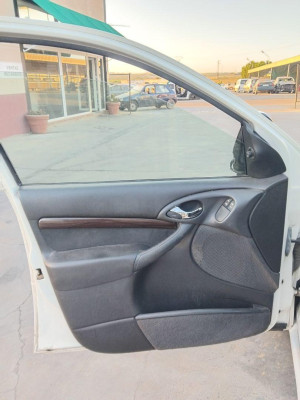 GUARNECIDO PUERTA DELANTERA IZQUIERDA Ford Focus Familiar (CAK)(1998->)