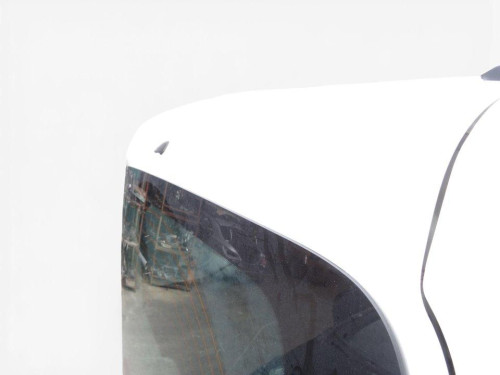 PORTON TRASERO de segunda mano