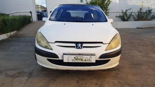  Peugeot 307 (S1)(04.2001->06.2005) SIN IDENTIFICAR 