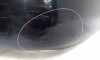 PARAGOLPES TRASERO Seat LEON (1M1) 