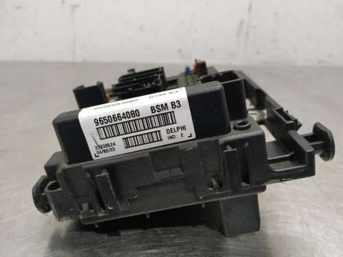  CAJA RELES / FUSIBLES Peugeot 307 (S1)(04.2001) 