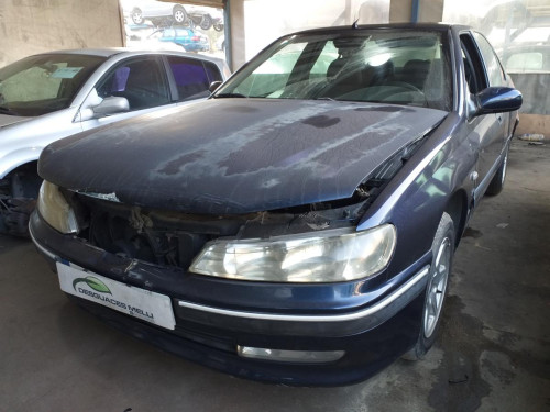  PEUGEOT 406 BERLINA (S1/S2) 