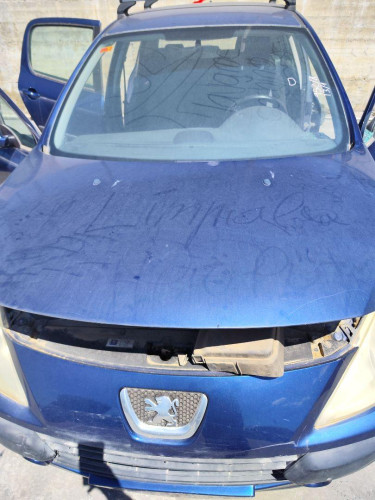 CAPO PEUGEOT 307 BERLINA (S2) 
