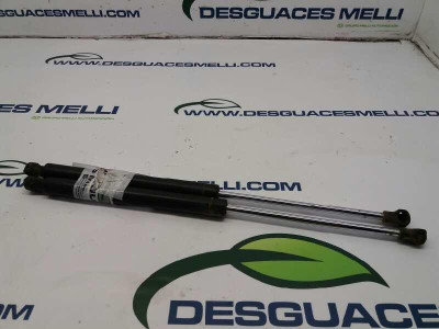 AMORTIGUADORES MALETERO / PORTON, RENAULT, CLIO II FASE I (B/CB0)