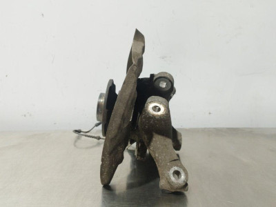 MANGUETA TRASERA DERECHA, BMW, SERIE 5 BERLINA (F10)