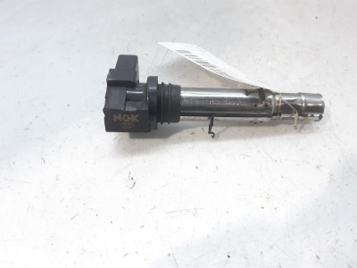 BOBINA ENCENDIDO, SEAT, IBIZA (6L1)