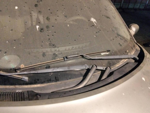 BRAZO LIMPIA DELANTERO IZQUIERDO Renault SCENIC II (JM) 