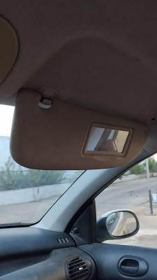 PARASOL DERECHO Peugeot 206 (1998->)