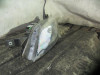  FARO IZQUIERDO CITROEN JUMPER KASTEN 
