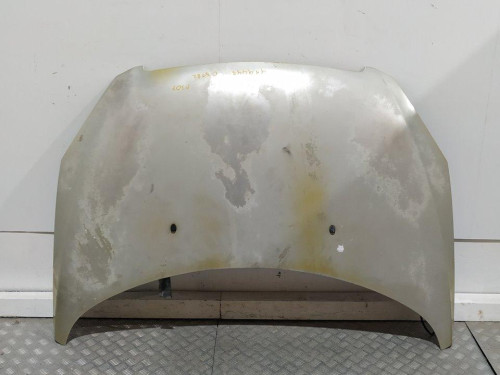 CAPO PEUGEOT 307 (S1)(04.2001) 