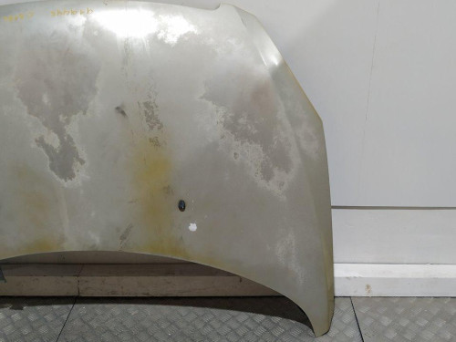  CAPO PEUGEOT 307 (S1)(04.2001) 