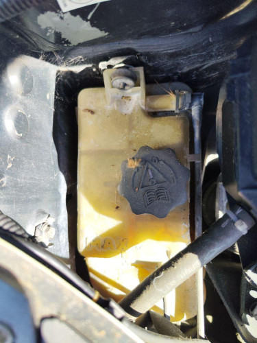 DEPOSITO EXPANSION CITROEN XSARA PICASSO 