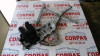 ELEVALUNAS DELANTERO IZQUIERDO Opel CORSA C 