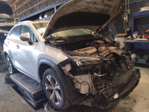  LEXUS NX (AZ10) 
