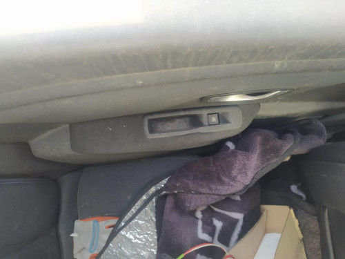  GUARNECIDO PUERTA TRASERA IZQUIERDA Renault MEGANE III SPORT TOURER 