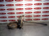 TRANSMISION TRASERA DERECHA Nissan PICKUP (D22) 