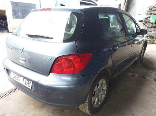  PEUGEOT 307 BERLINA (S2) 