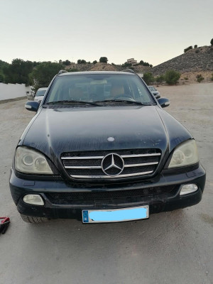 MERCEDES-BENZ CLASE ML (BM 163)