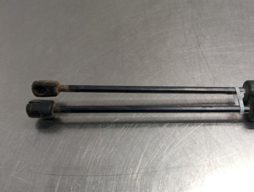  AMORTIGUADORES MALETERO / PORTON, FORD, KA+ (CDU) 