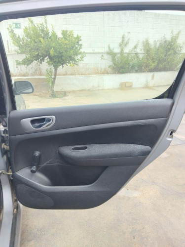 GUARNECIDO PUERTA TRASERA DERECHA Peugeot 307 (S1)(04.2001->06.2005) Peugeot 307 (S1)(04.2001->06.2005) 