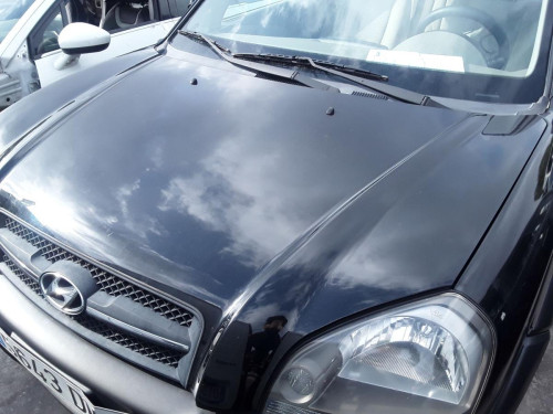 CAPO Hyundai TUCSON (JM) 
