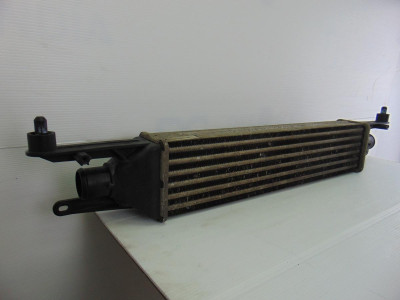 INTERCOOLER, FIAT, III EVO PUNTO (199)