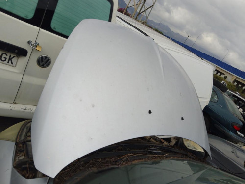 CAPO Mitsubishi GRANDIS (NA0W) 