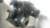  MOTOR COMPLETO FORD FOCUS BERLINA (CAP) 