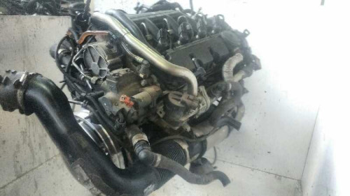  MOTOR COMPLETO FORD FOCUS BERLINA (CAP) 
