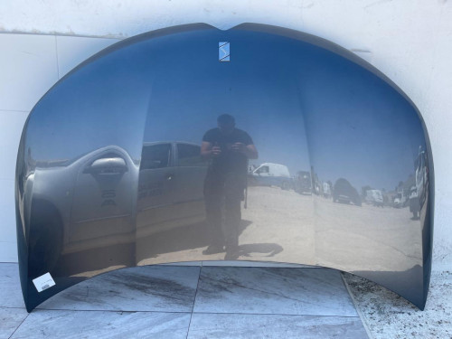 CAPO Citroen DS4 
