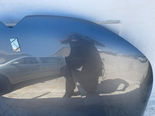 CAPO Citroen DS4 