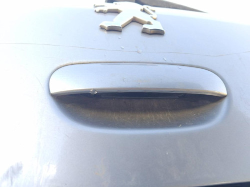 MANETA EXTERIOR PORTON Peugeot 307 (S1)(04.2001->06.2005) PEUGEOT 307 (S1)(04.2001->06.2005) 
