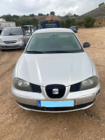 SEAT IBIZA (6L1)