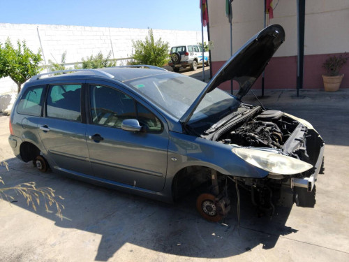  Peugeot 307 (S1)(04.2001->06.2005) SIN IDENTIFICAR 