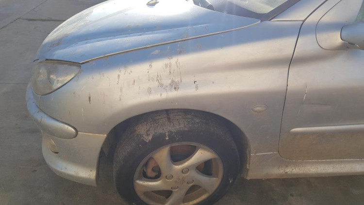 ALETA DELANTERA IZQUIERDA Peugeot 206 (1998->)