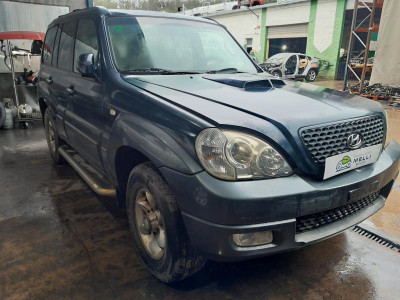 HYUNDAI TERRACAN (HP)