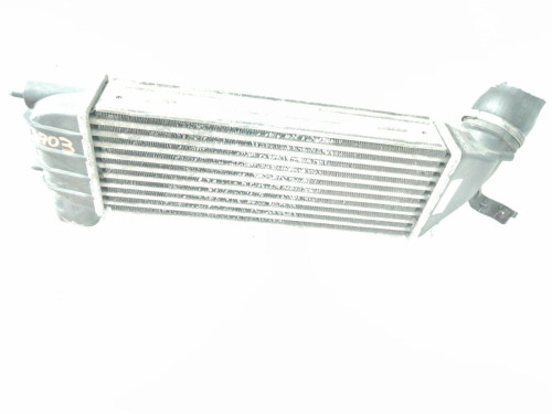  INTERCOOLER, LANCIA, PHEDRA (180) 