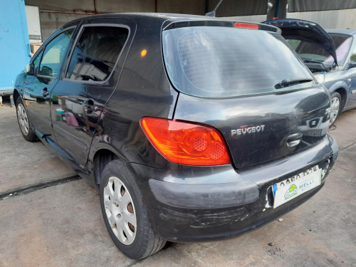  PEUGEOT 307 BERLINA (S2) 