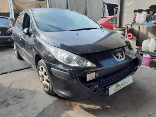  PEUGEOT 307 BERLINA (S2) 