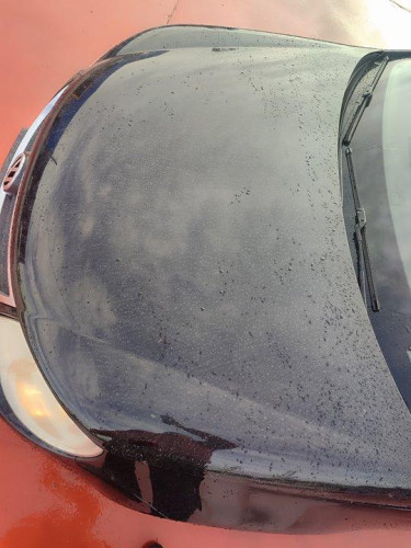  VOLKSWAGEN EOS (1F7)(2006) 