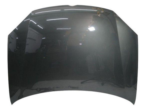  CAPO, VOLKSWAGEN, GOLF V (1K1)(10.2003) 