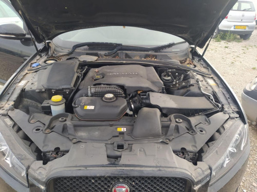  CLAXON, JAGUAR, XF 